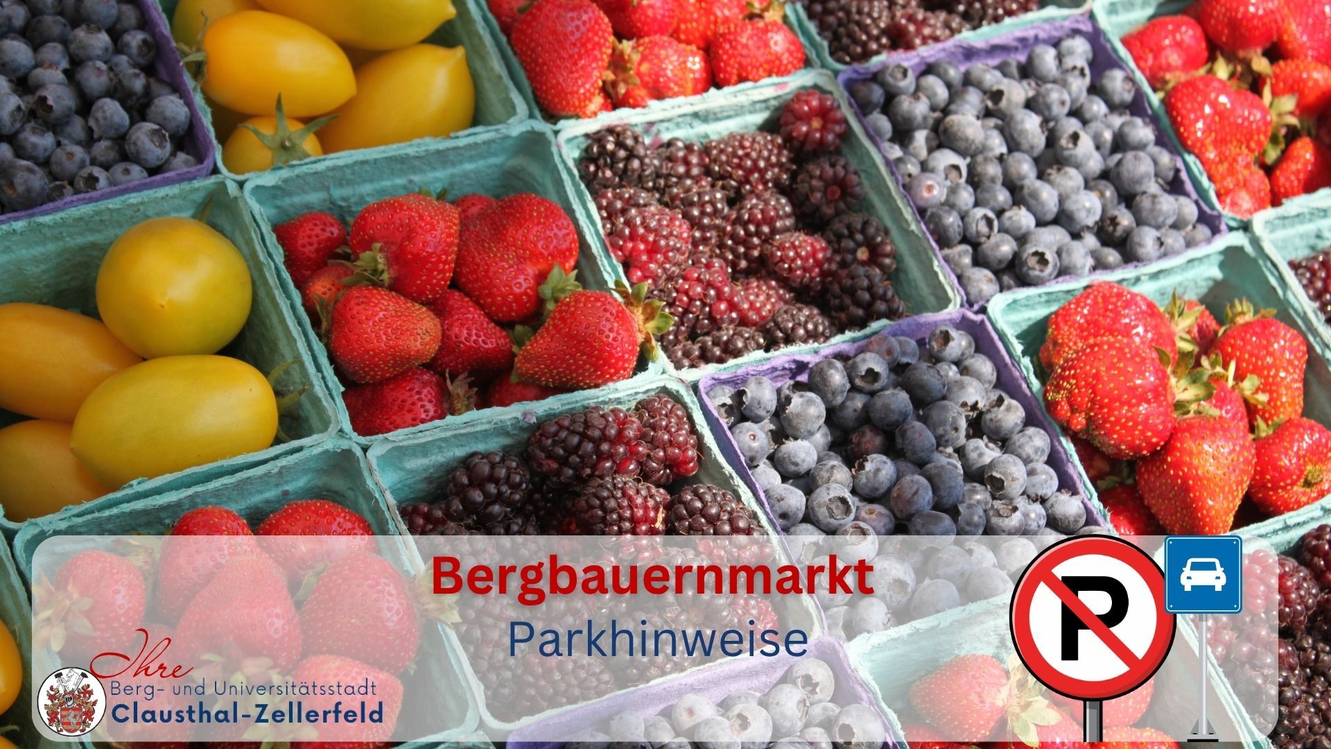 Meldungen 2026 - lesung Meldungen 2026 - lesung