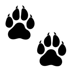 zwei Luchs Pfotenabdrücke