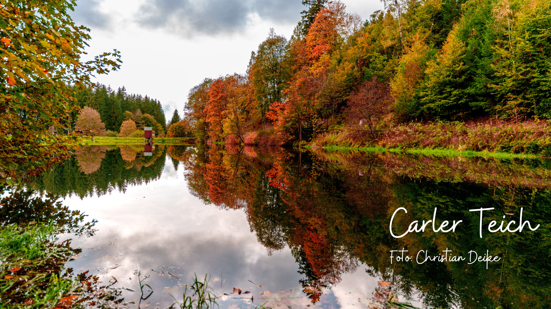 Carler Teich Foto: Christian Deike Carler Teich umgeben von Bäumen in Herbstfarben