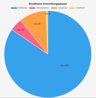 Diagramm Entwicklungsphase Bäume