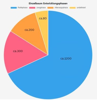 Diagramm Entwicklungsphase Bäume