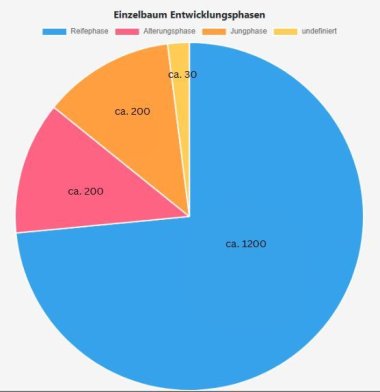 Diagramm Entwicklungsphase Bäume