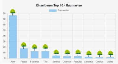 Top 10 Baumarten