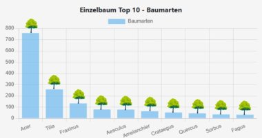 Top 10 Baumarten