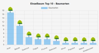 Top 10 Baumarten