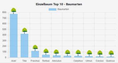 Top 10 Baumarten