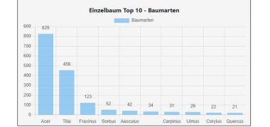Baumarten in Zellerfeld Diagramm Top 10 Baumarten in Zellerfeld