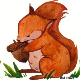 Gruppe Eichhörnchen Symbolbild Eichhörnchen