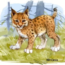 Luchsgruppe Symbolbild Luchs