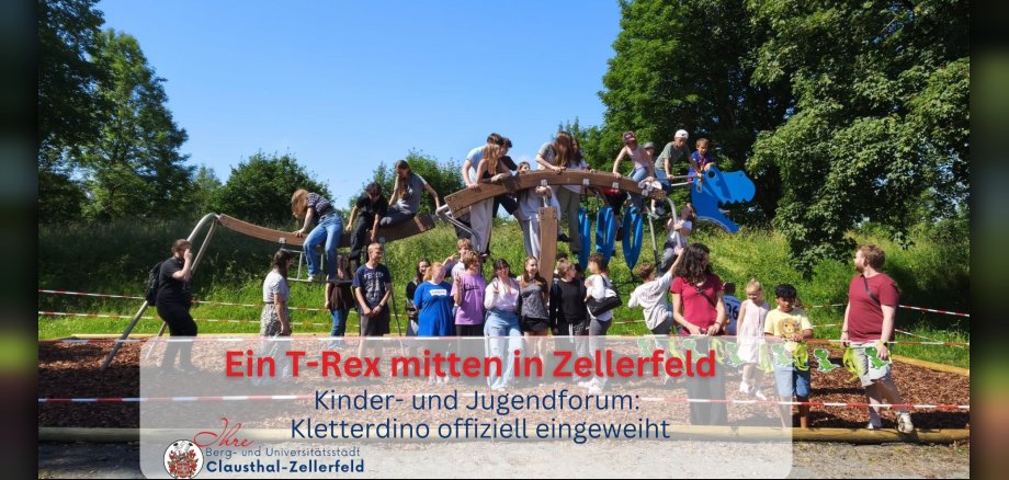 Meldungen 2026 - Kletterdino