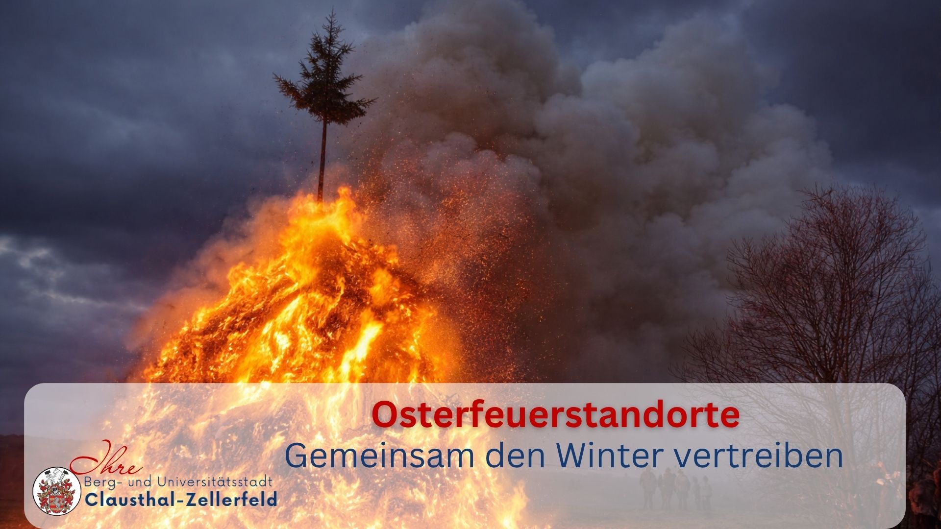 Meldungen 2026 - Marktstraße