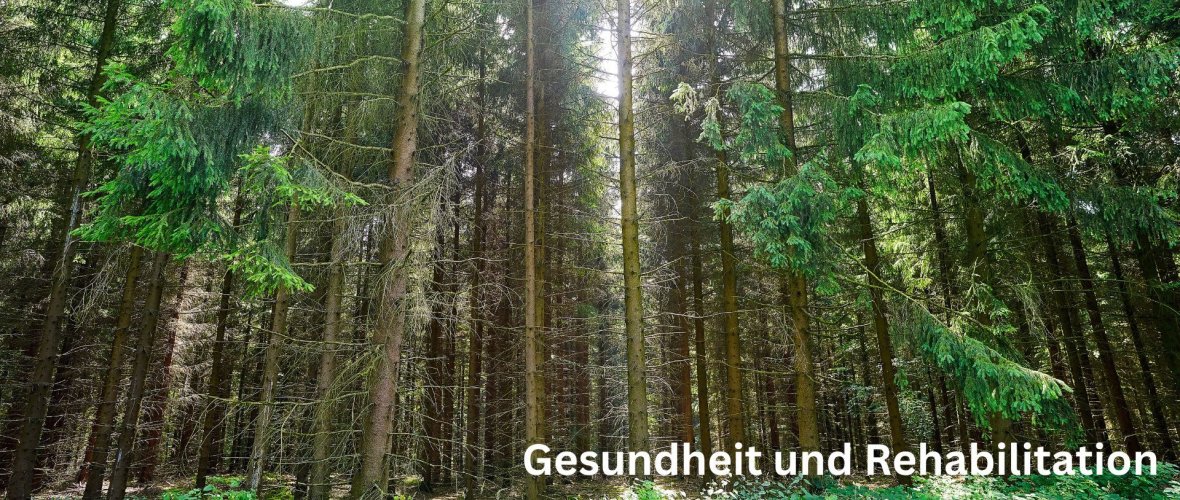 Luftkurort Waldausblick