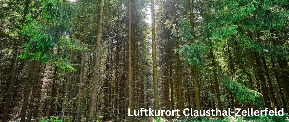 Luftkurort Waldausblick