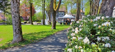 Thomas-Merten-Platz in Sonnenschein mit Bäumen und blühenden Blumen